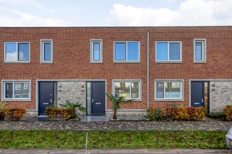 undefined main image