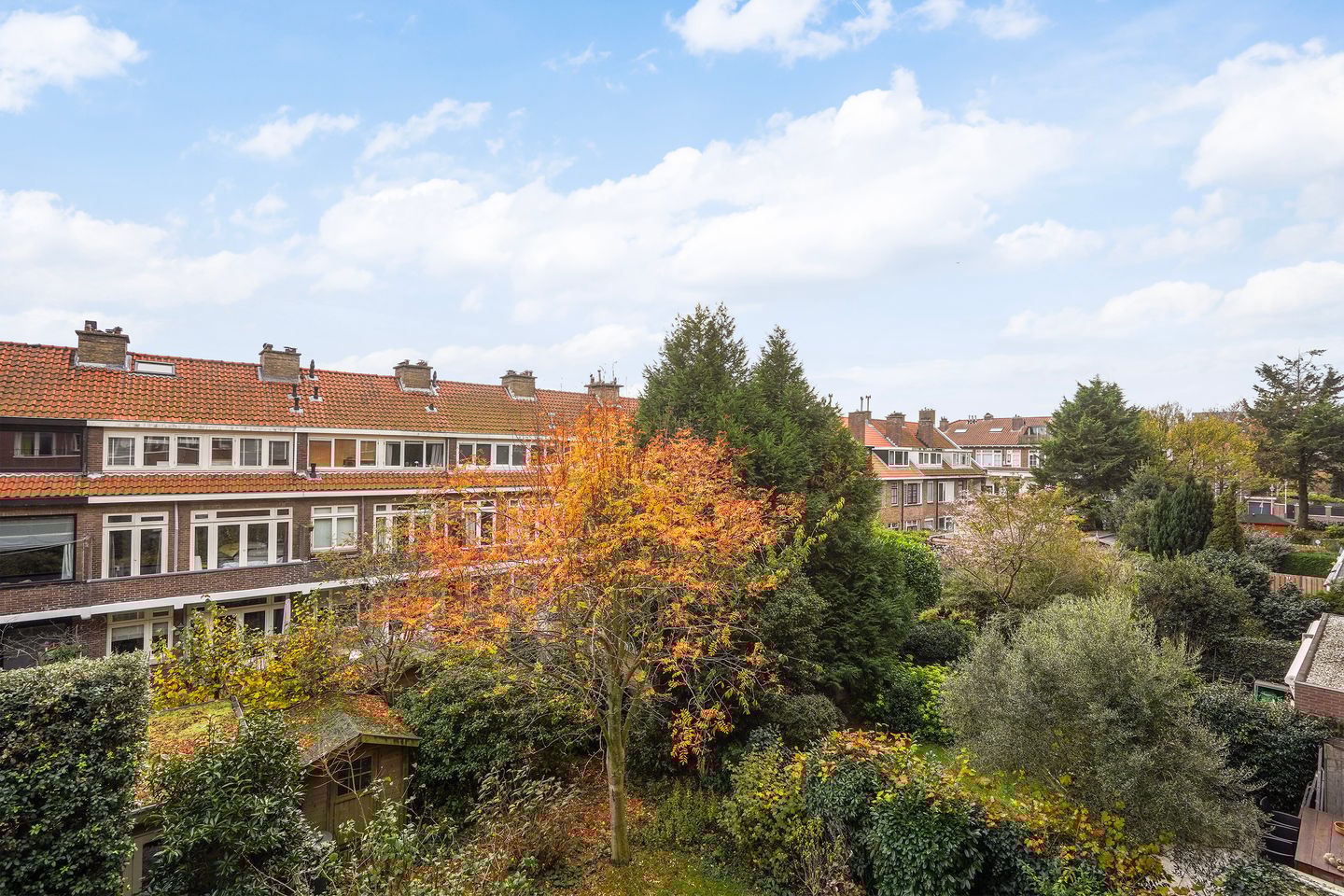 Foto 19 van Laan van Meerdervoort 1468