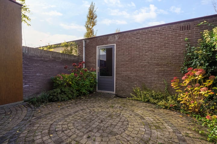 Foto 21 van Renzo Pianolijn 13