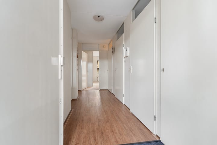 Foto 4 van Bernstein 64