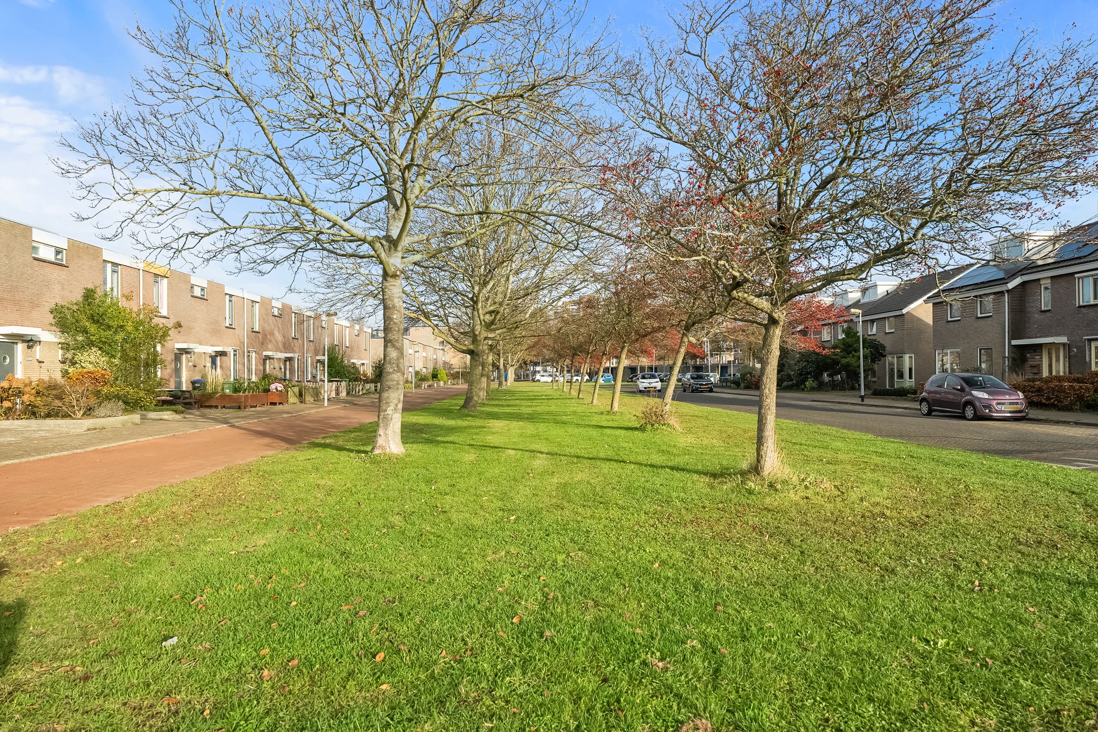 Foto 21 van Boterzwin 3527