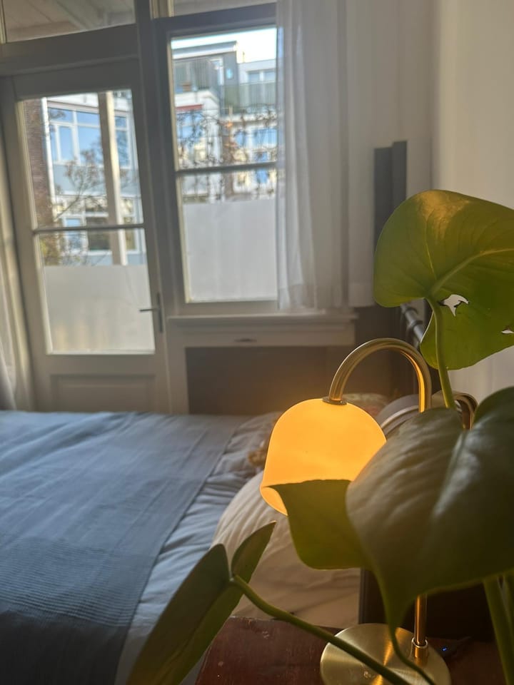 Foto 30 van Koninginneweg 145-2