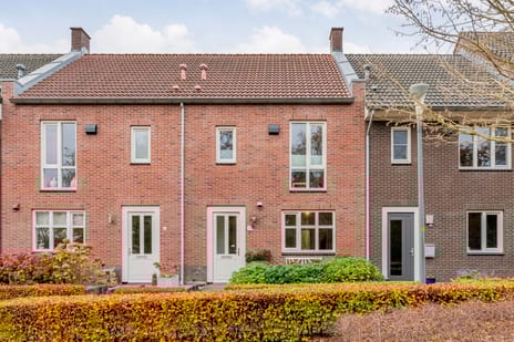 undefined main image