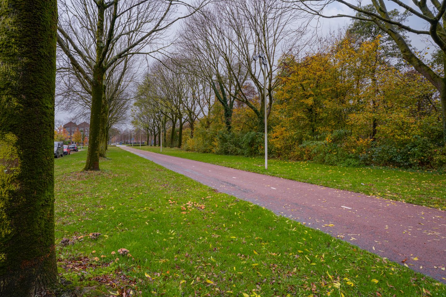 Foto 40 van De Hazelaar 65