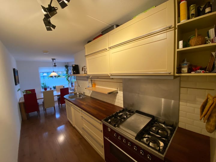 Foto 9 van Willemijn Posthumustuin 1