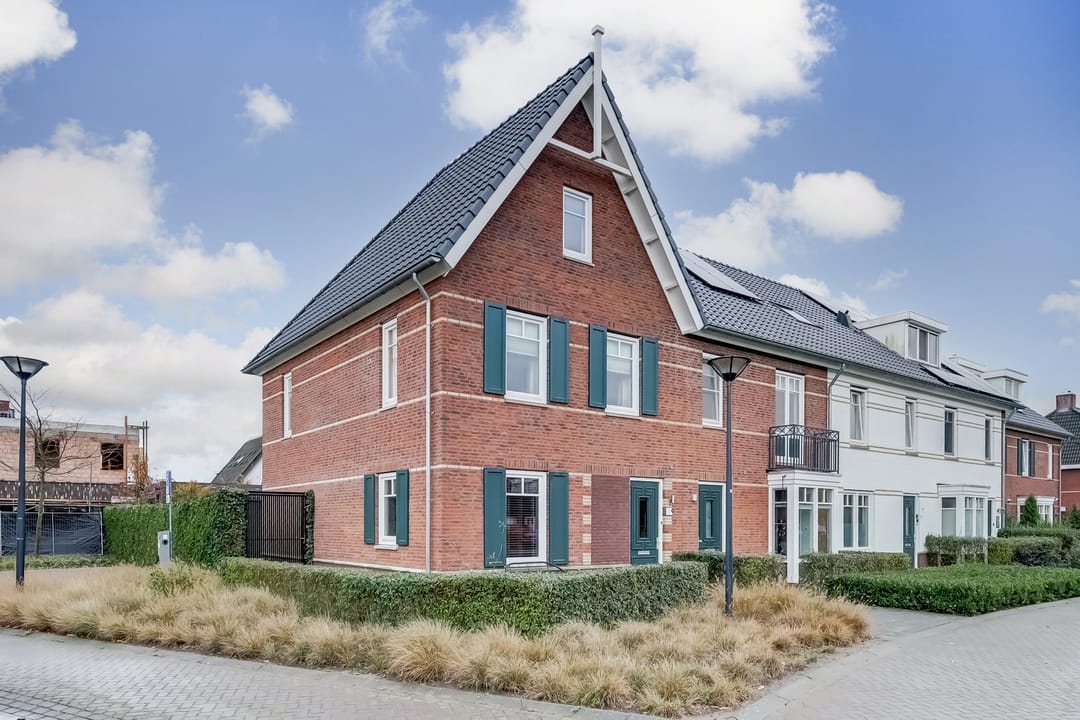 Foto 1 van Oranje zegge 13