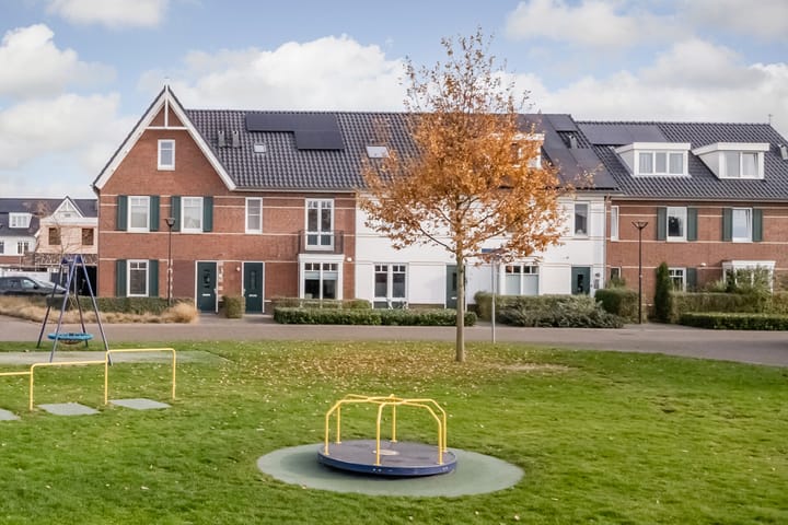 Photo 2 of Oranje zegge 13