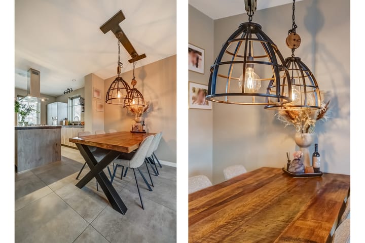 Photo 13 of Oranje zegge 13