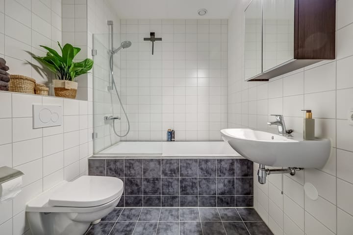 Photo 19 of Oranje zegge 13