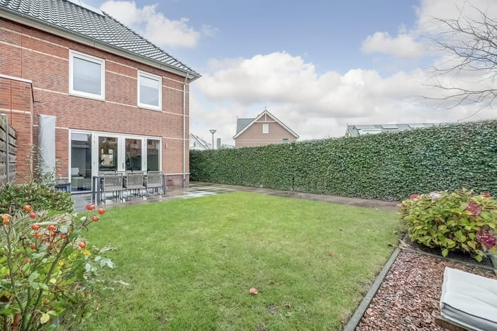 Photo 29 of Oranje zegge 13