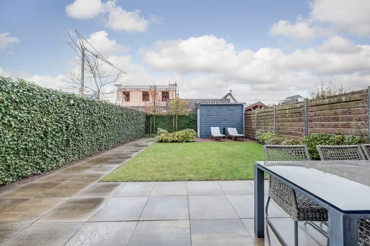 Photo 31 of Oranje zegge 13