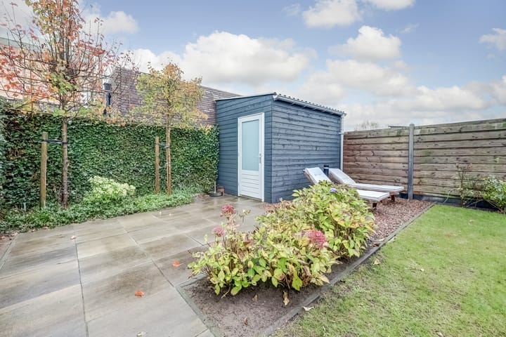 Photo 32 of Oranje zegge 13