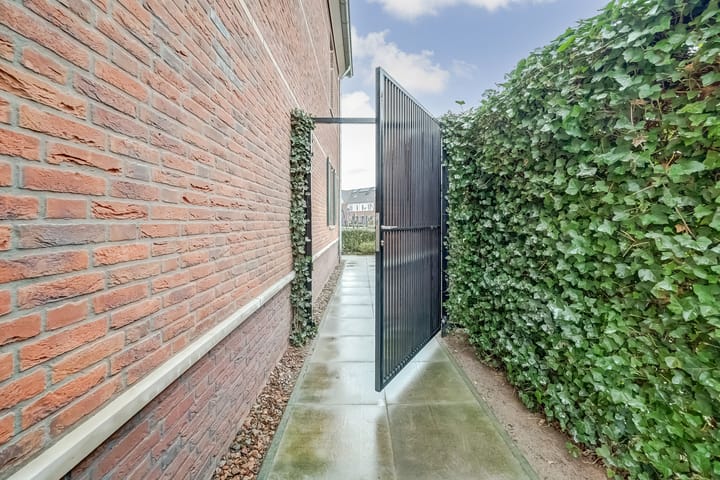 Photo 34 of Oranje zegge 13