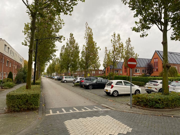 Foto 30 van Willemijn Posthumustuin 1