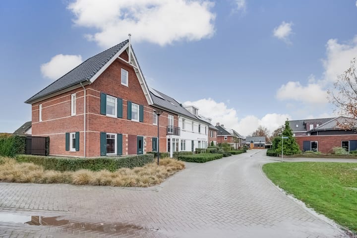 Photo 37 of Oranje zegge 13