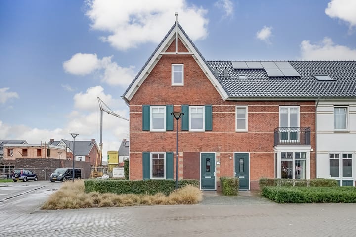 Photo 38 of Oranje zegge 13