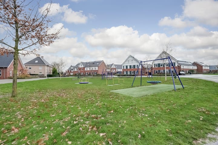 Photo 39 of Oranje zegge 13