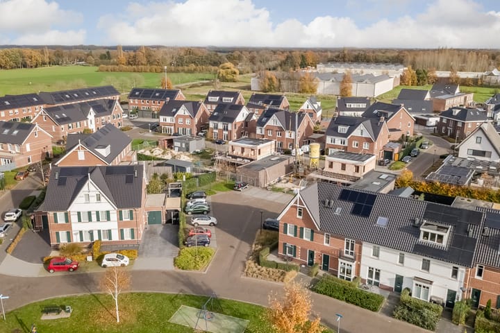 Photo 40 of Oranje zegge 13