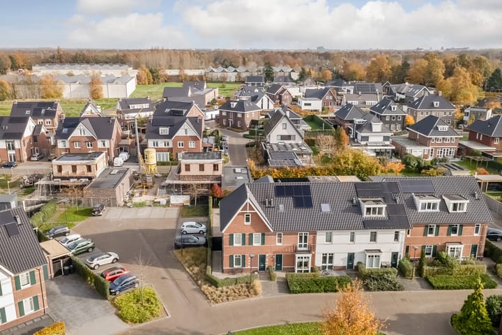 Photo 41 of Oranje zegge 13