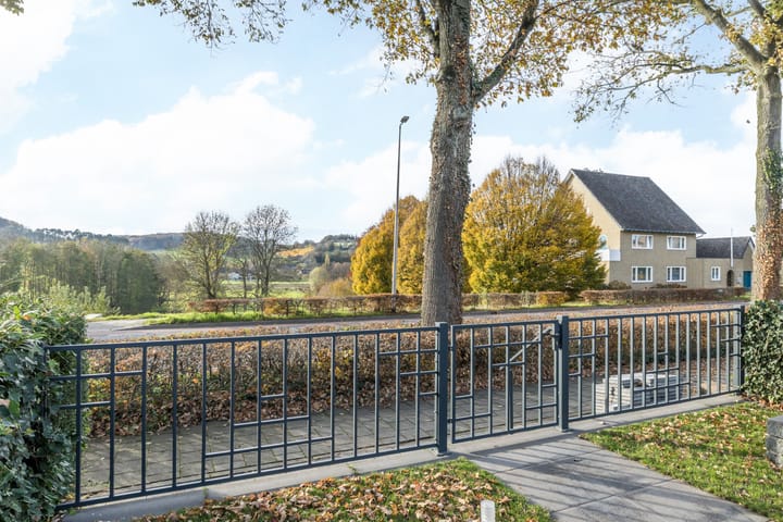 Photo 22 of Pastoor Steinbuschstraat 9