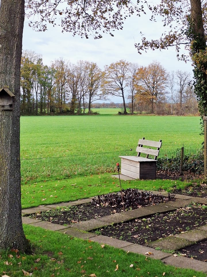 Photo 45 of Nieuwland 32