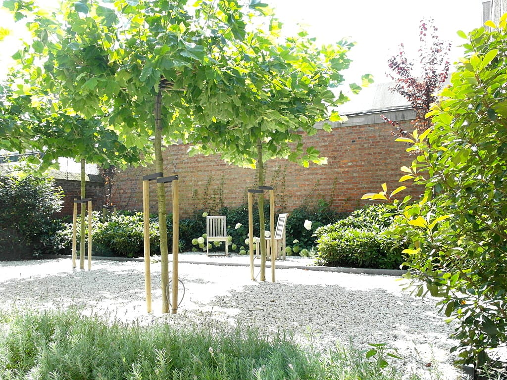 View photo 3 of Oude Delft 37