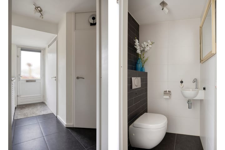 Foto 5 van Patrijs 9