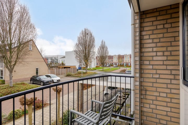 Foto 22 van Patrijs 9