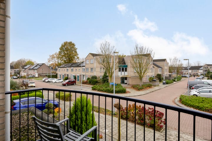 Foto 23 van Patrijs 9