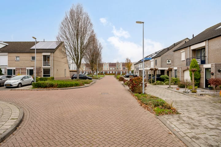 Foto 38 van Patrijs 9