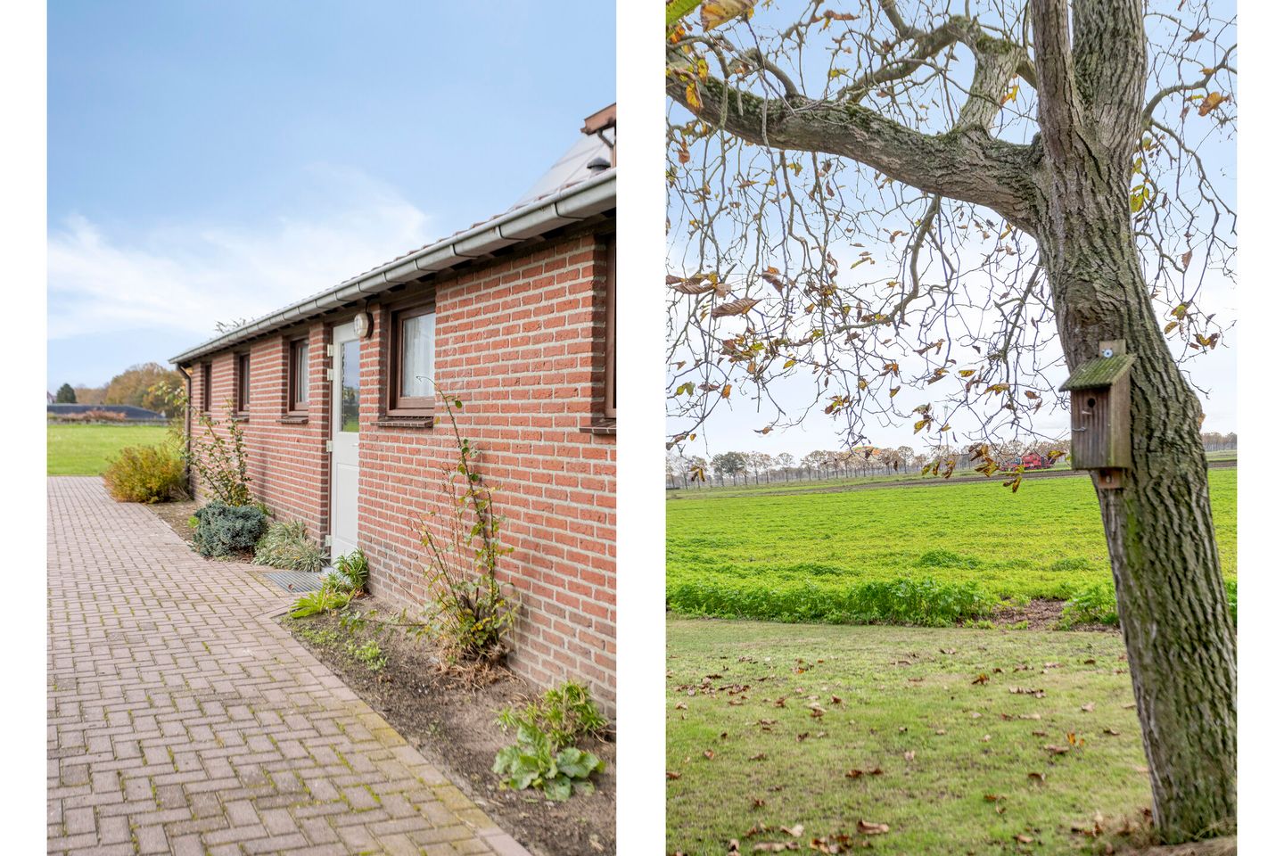 Bekijk foto 4 van Vreedepeelweg 19