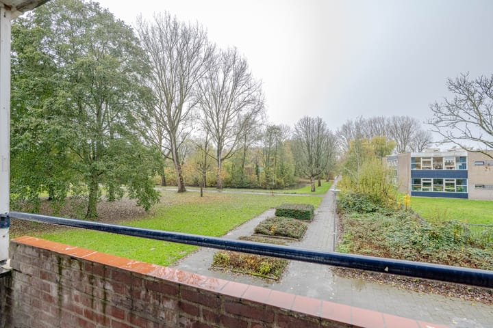 Foto 14 van Ruigoord 264