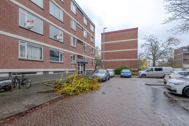 Foto 20 van Ruigoord 264