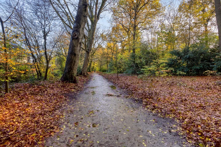 Foto 40 van Steenwijkerdiep 64-A