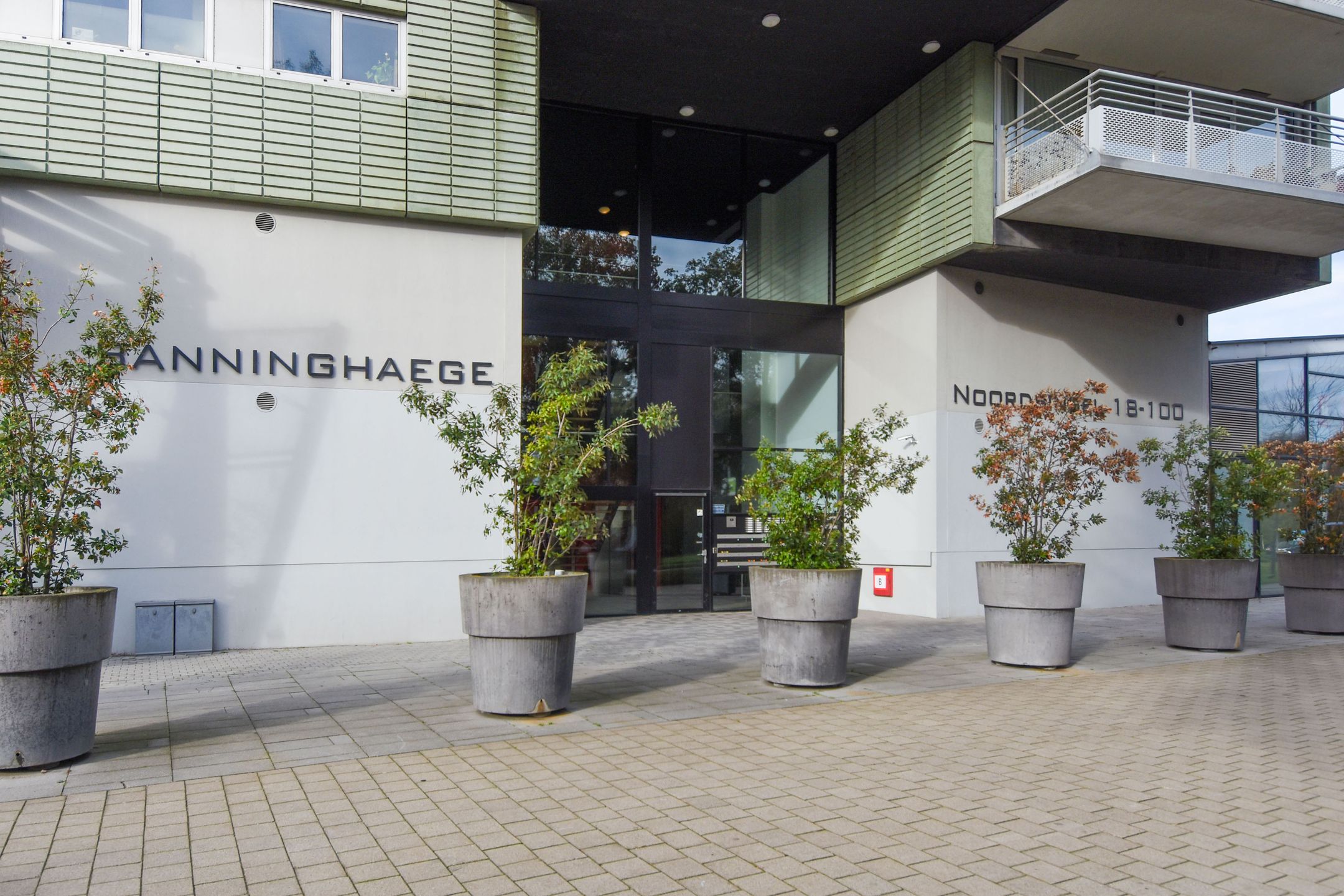 Foto 3 van Noordsingel 84