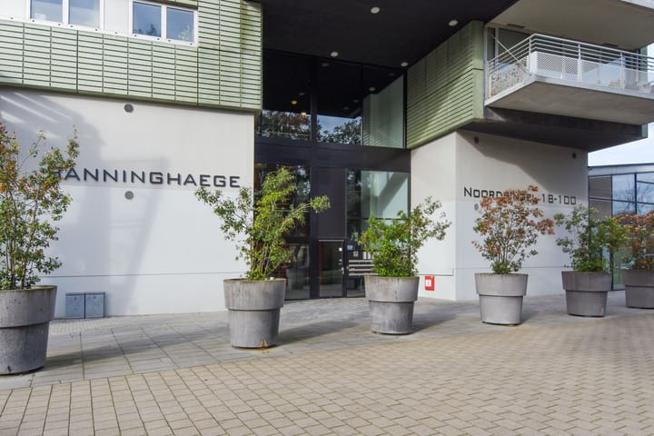 Foto 3 van Noordsingel 84