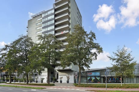 undefined main image