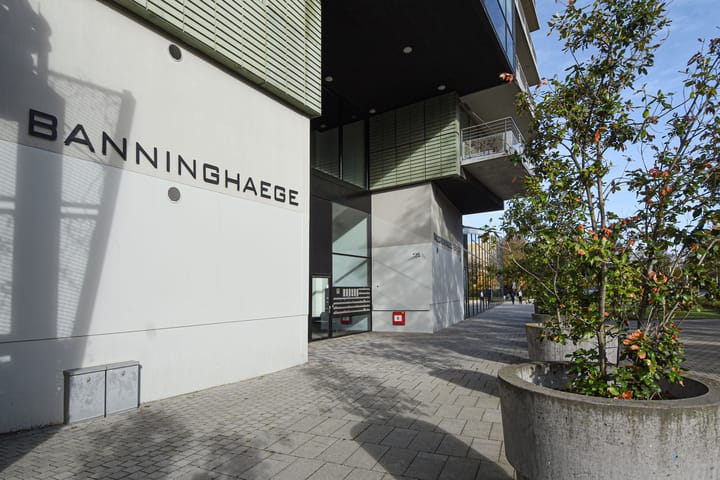 Foto 5 van Noordsingel 84