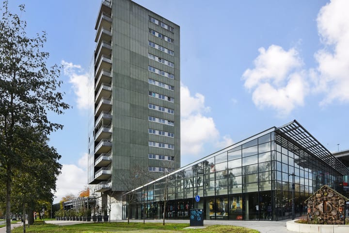 Foto 2 van Noordsingel 84