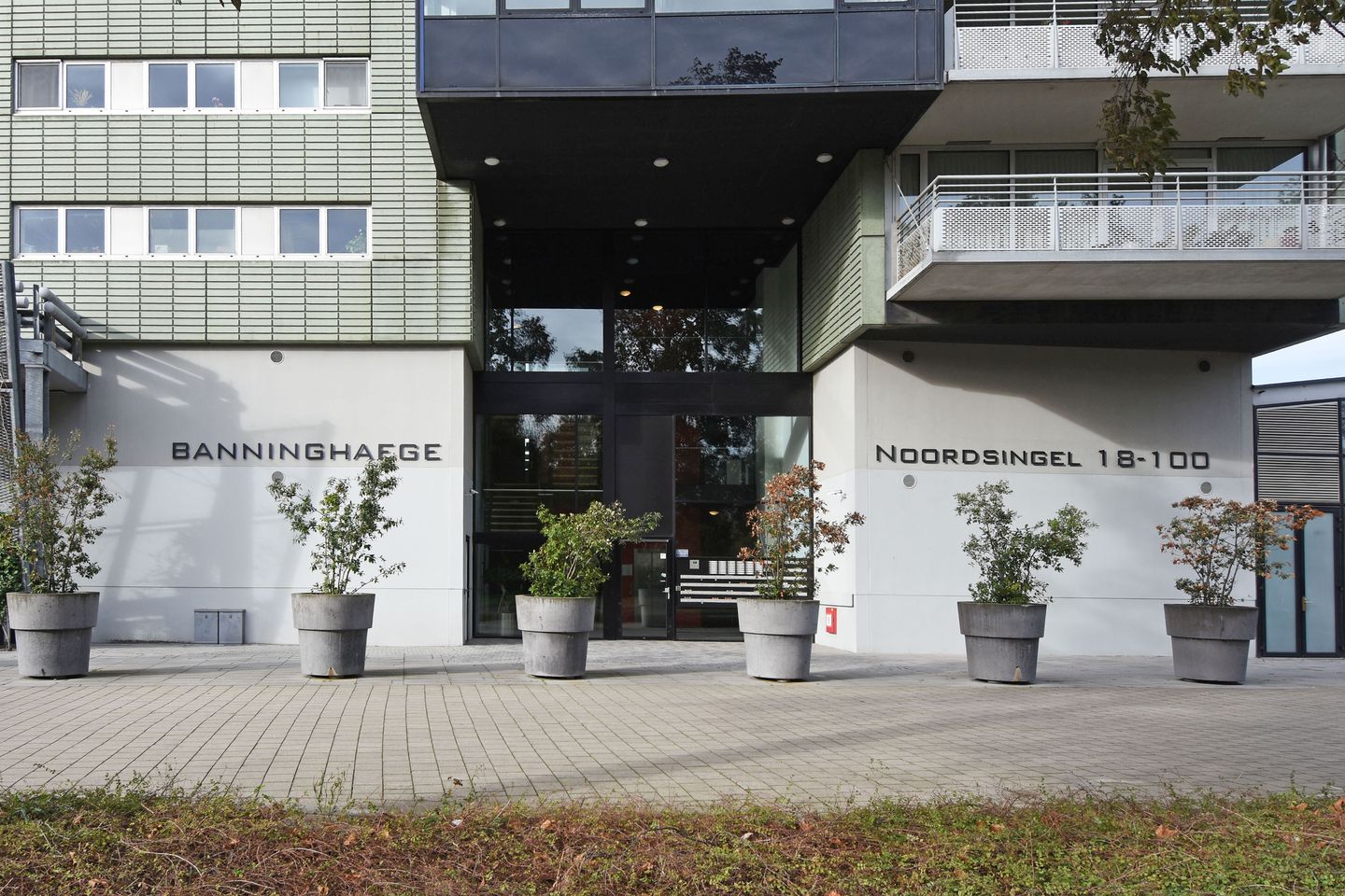 Foto 4 van Noordsingel 84