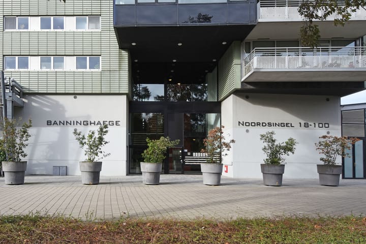 Foto 4 van Noordsingel 84