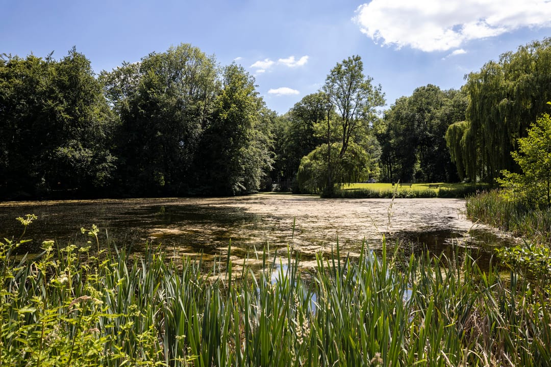 Foto 73 van Bellefleur 60