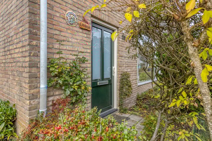 Photo 44 of Vincent van Goghlaan 20