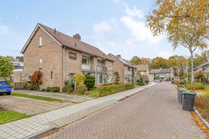 Photo 47 of Vincent van Goghlaan 20