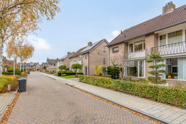 Photo 49 of Vincent van Goghlaan 20