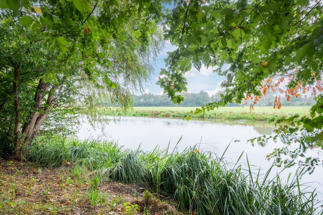 Foto 41 van Graafschedijk 26