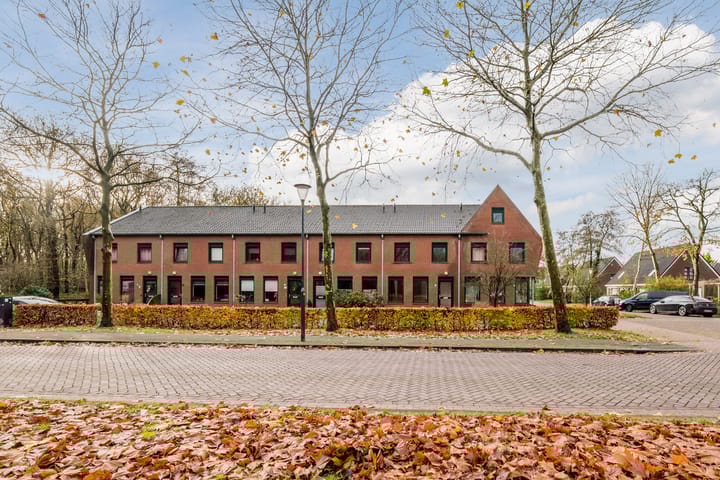 Grasland 64 main image