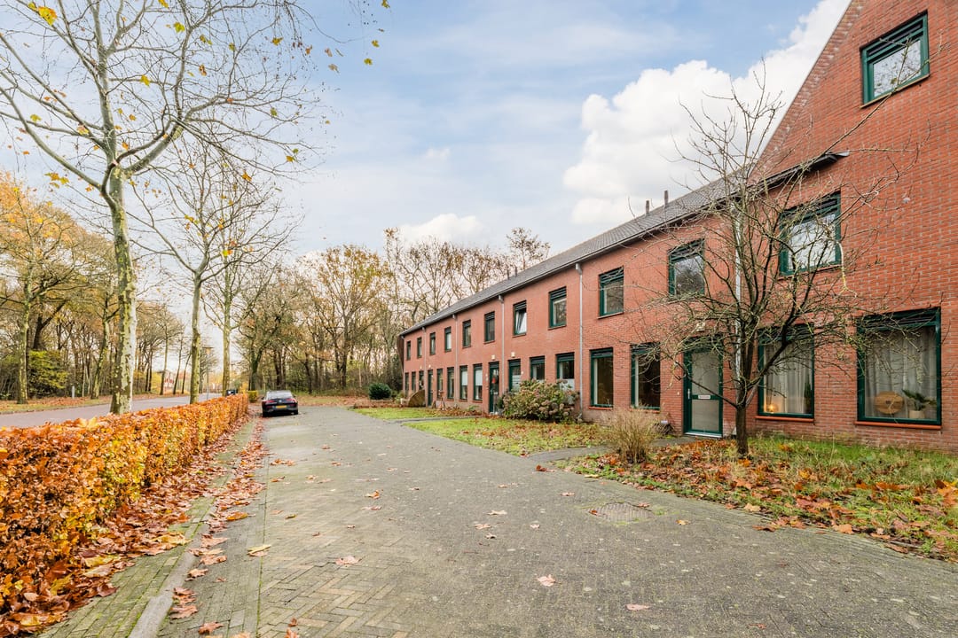 Photo 7 of Grasland 64