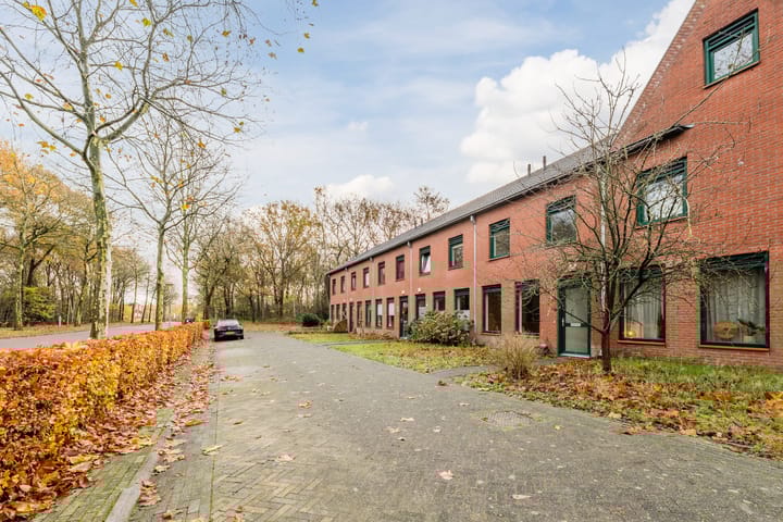 Photo 7 of Grasland 64