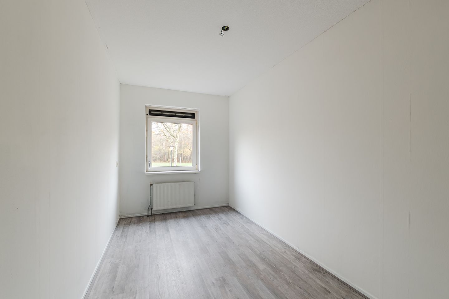 Photo 19 of Grasland 64